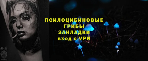 спайс Медвежьегорск
