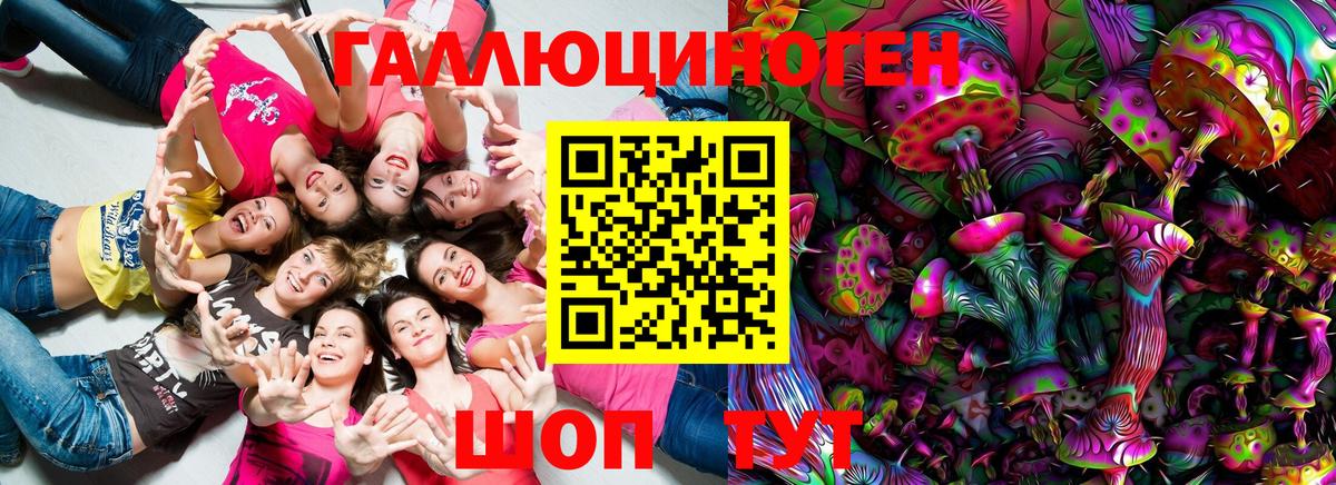 Каменск-Шахтинский  Галлюциногенные грибы GOLDEN TEACHER  Вход с VPN 